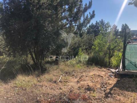 Terreno industrial em pelariga