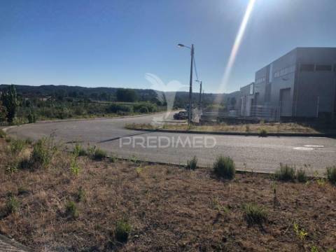 Terreno industrial em pelariga