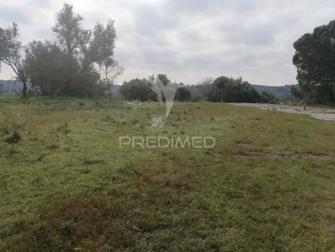 Terreno industrial em silves