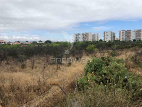 Terreno para construção de prédios habitacionais