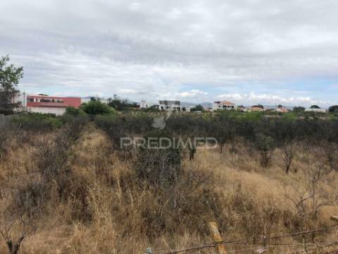 Terreno para construção de prédios habitacionais