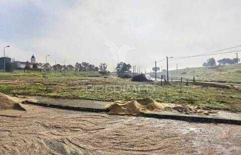 Vários lotes de terreno  urbano - casal da moita - torres novas