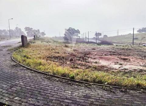 Vários lotes de terreno  urbano - casal da moita - torres novas