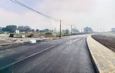 Vários lotes de terreno  urbano - casal da moita - torres novas
