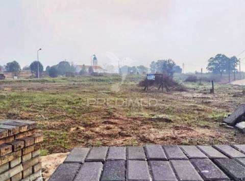 Vários lotes de terreno  urbano - casal da moita - torres novas