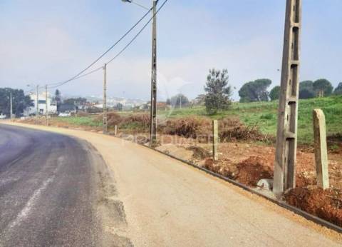 Vários lotes de terreno  urbano - casal da moita - torres novas
