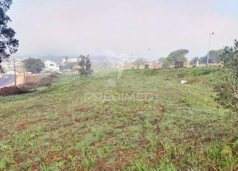 Vários lotes de terreno  urbano - casal da moita - torres novas