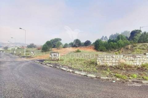 Vários lotes de terreno  urbano - casal da moita - torres novas