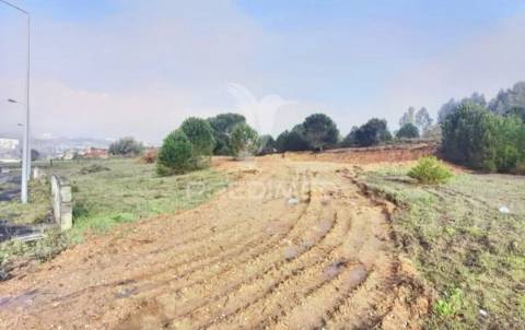 Vários lotes de terreno  urbano - casal da moita - torres novas