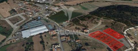 Vários lotes de terreno  urbano - casal da moita - torres novas