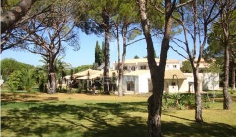 Terreno rustico em vilamoura -assumadinha