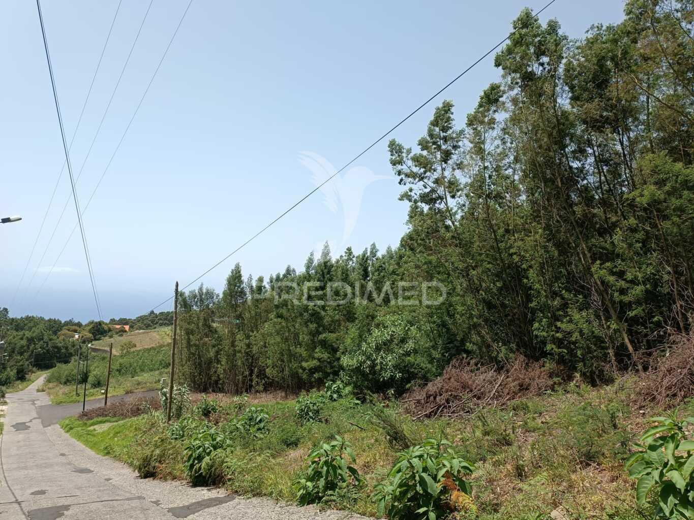Terreno para construção vista mar em santa cruz - madeira