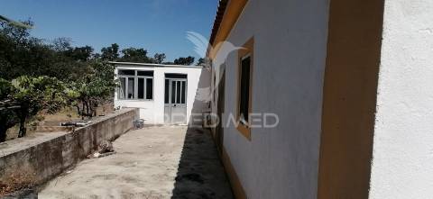 Quinta agrícola na urra - portalegre