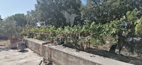 Quinta agrícola na urra - portalegre