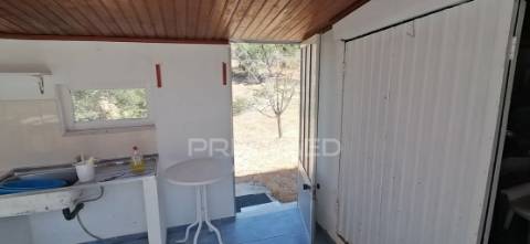 Quinta agrícola na urra - portalegre