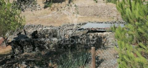 Quinta agrícola na urra - portalegre