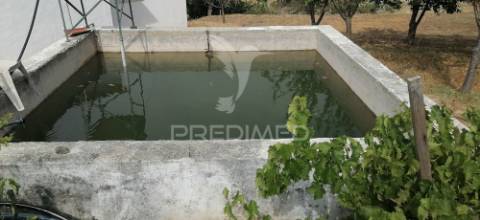 Quinta agrícola na urra - portalegre