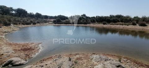 Quinta agrícola na urra - portalegre