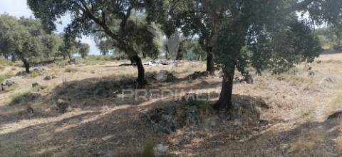 Quinta agrícola na urra - portalegre