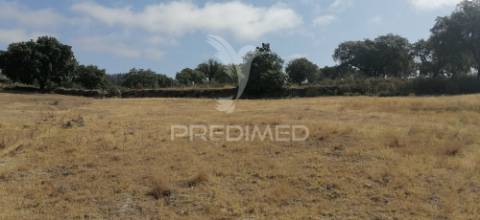 Quinta agrícola na urra - portalegre