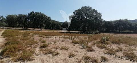 Quinta agrícola na urra - portalegre