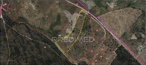 Quinta agrícola na urra - portalegre