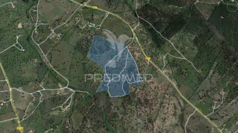 Quinta agrícola na urra - portalegre