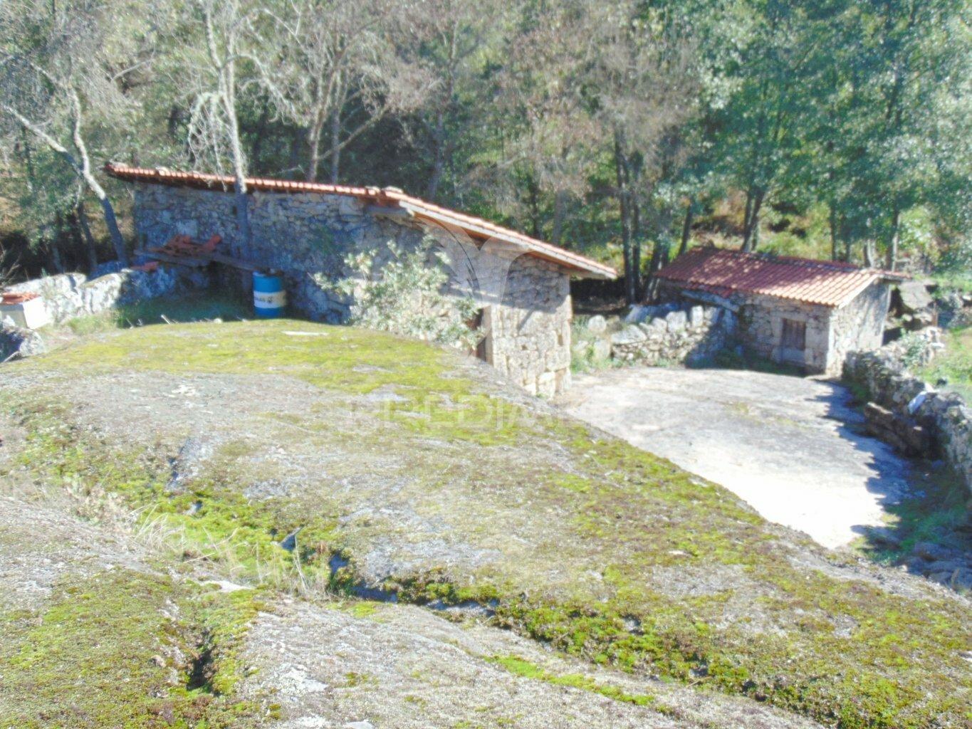 Moinhos c/ terreno de 6 ha junto ao santuário de panoias