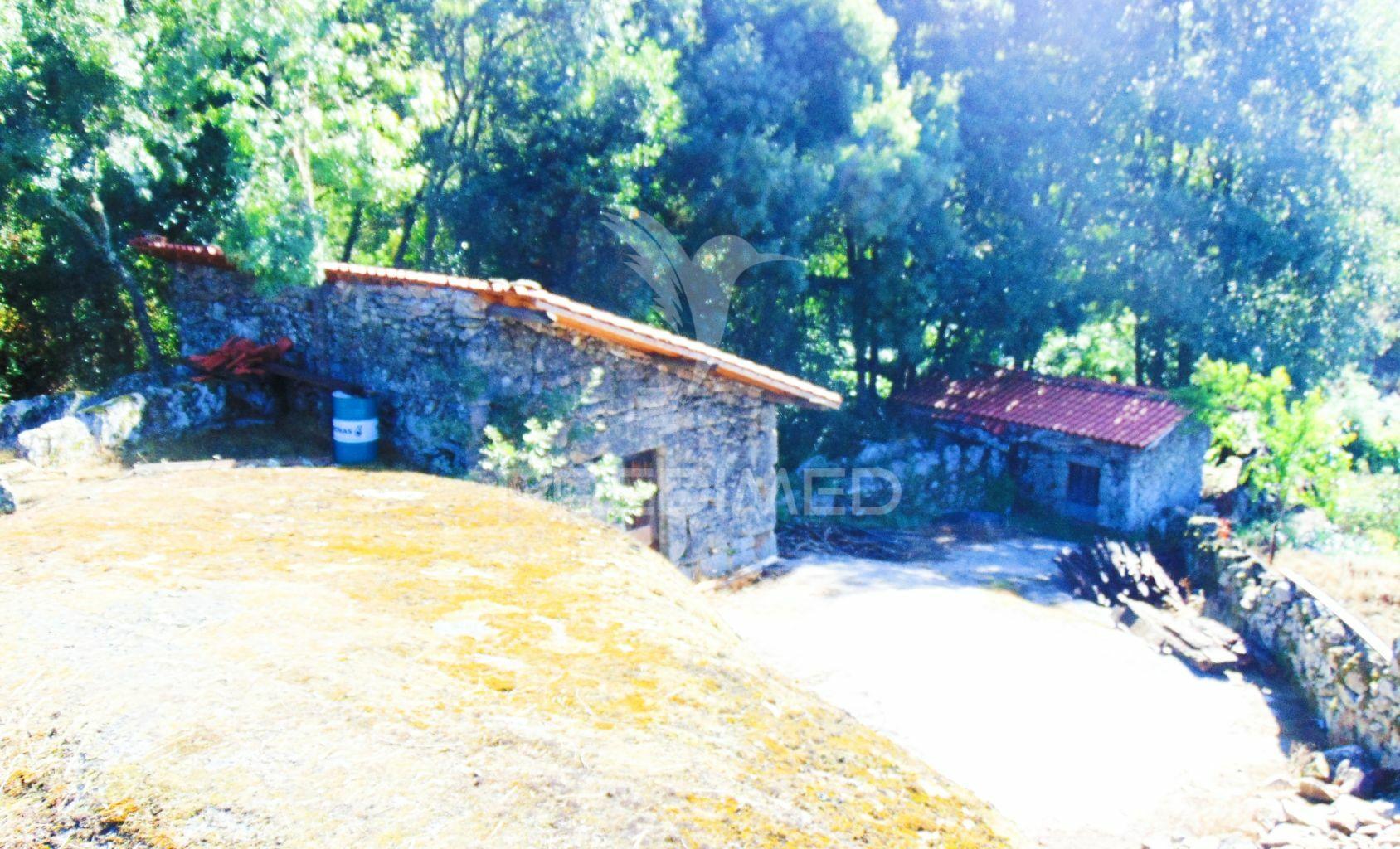 Moinhos c/ terreno de 6 ha junto ao santuário de panoias