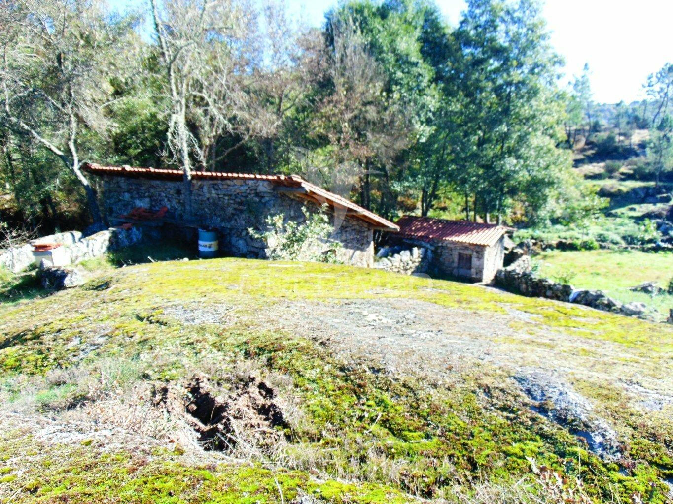 Moinhos c/ terreno de 6 ha junto ao santuário de panoias