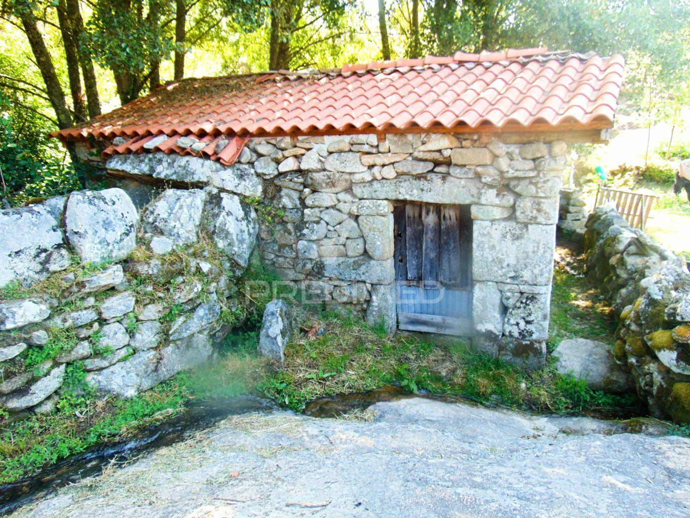 Moinhos c/ terreno de 6 ha junto ao santuário de panoias