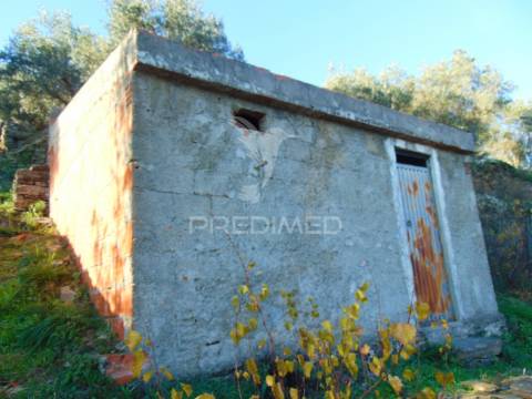 Terreno / olival em abaças - vila real