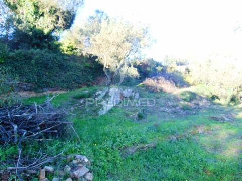 Terreno / olival em abaças - vila real