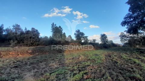 Terreno agroflorestal c/ sobreiros