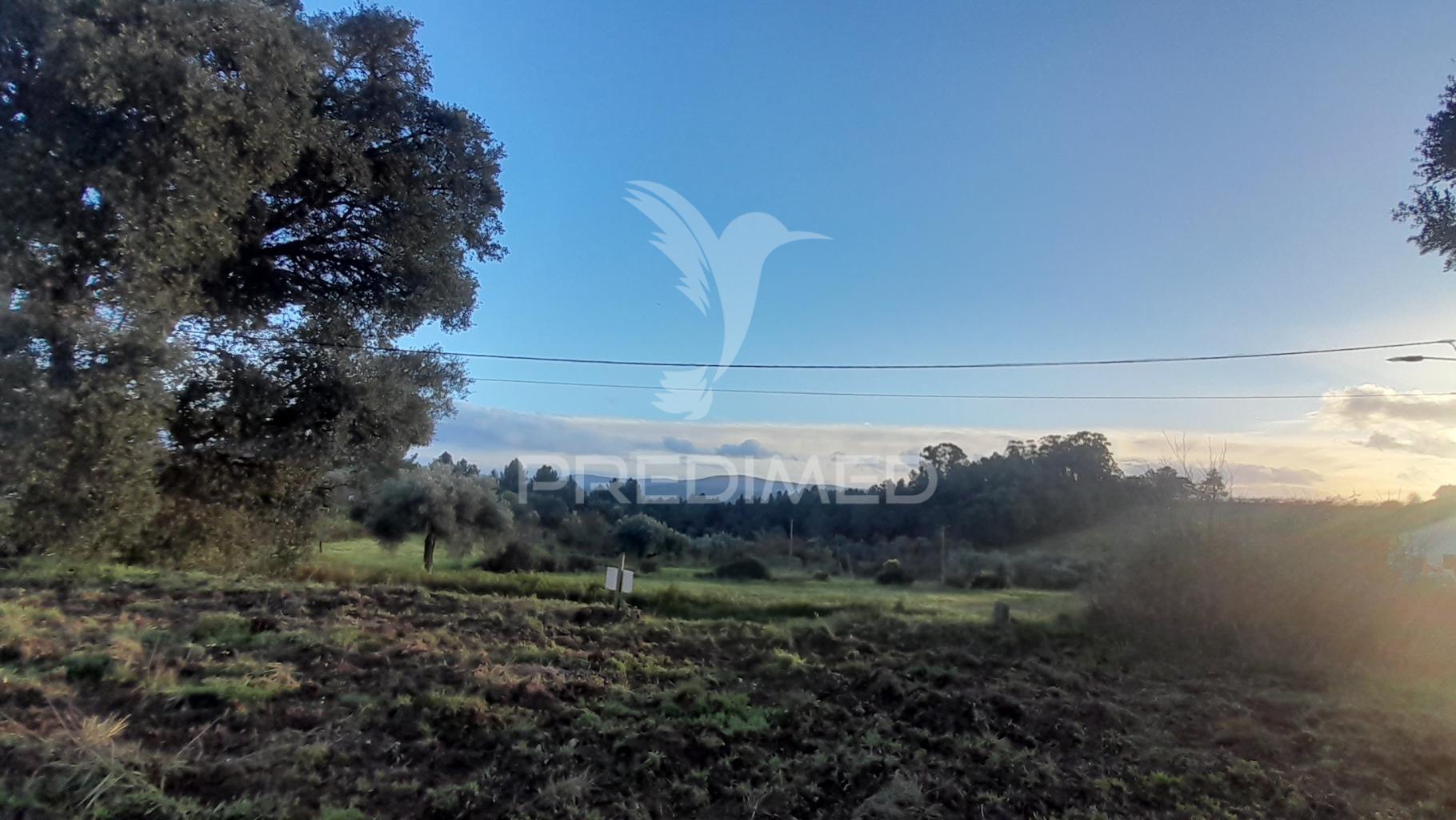 Terreno agroflorestal c/ sobreiros