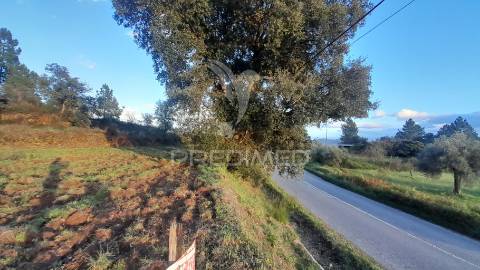 Terreno agroflorestal c/ sobreiros