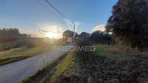 Terreno agroflorestal c/ sobreiros