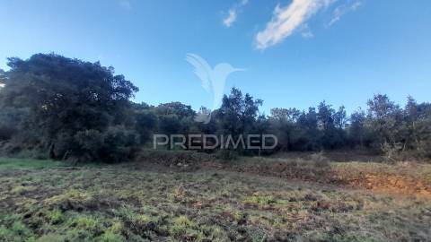Terreno agroflorestal c/ sobreiros