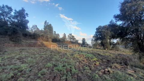 Terreno agroflorestal c/ sobreiros
