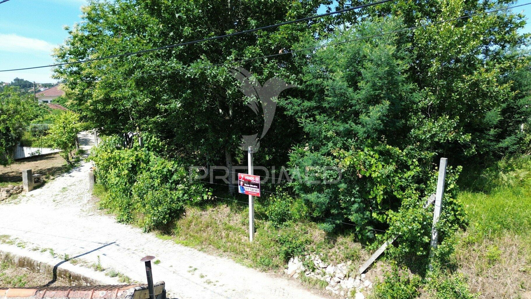Terreno rustico em aboim (construtivel) - amarante