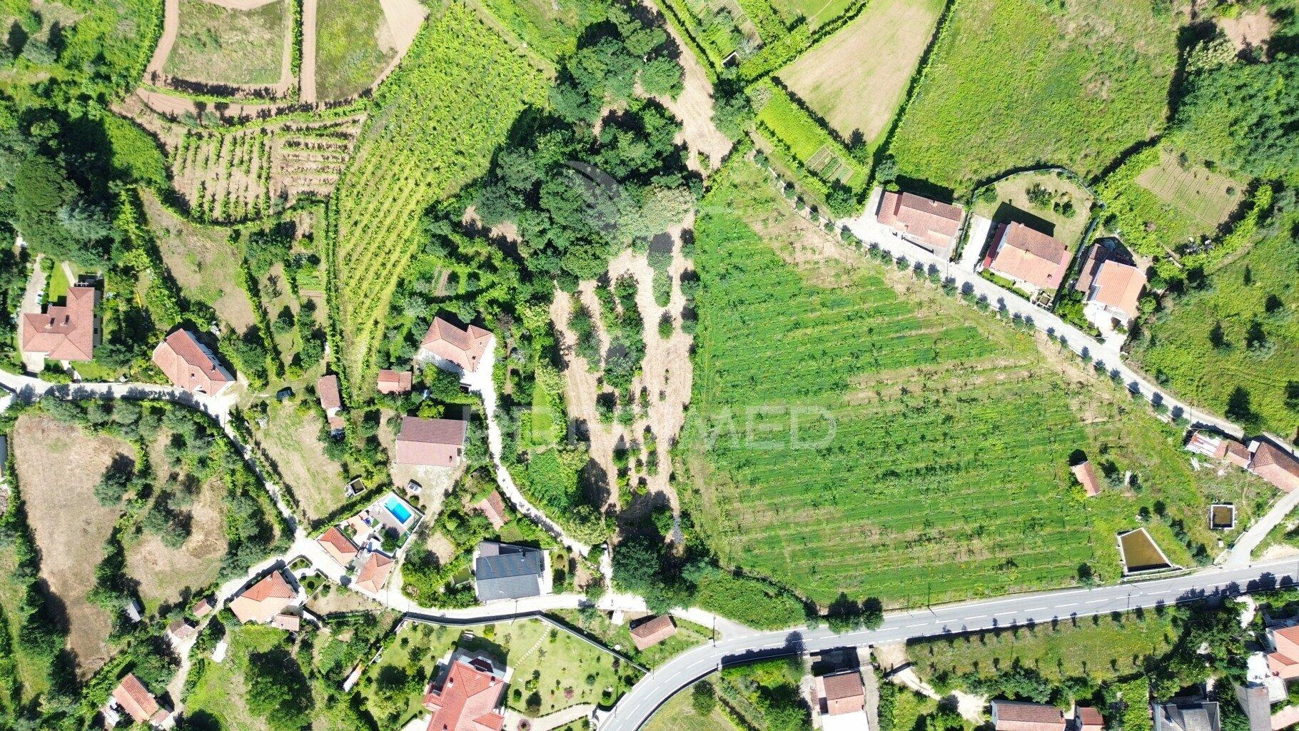 Terreno rustico em aboim (construtivel) - amarante