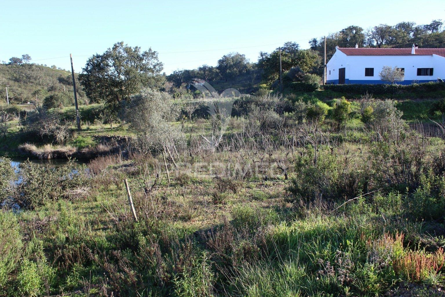 Vende-se terreno rústico em são bartolomeu de messines