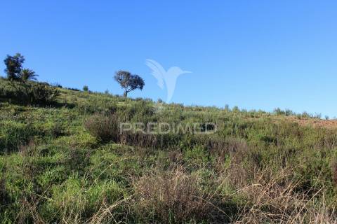 Vende-se terreno rústico em são bartolomeu de messines