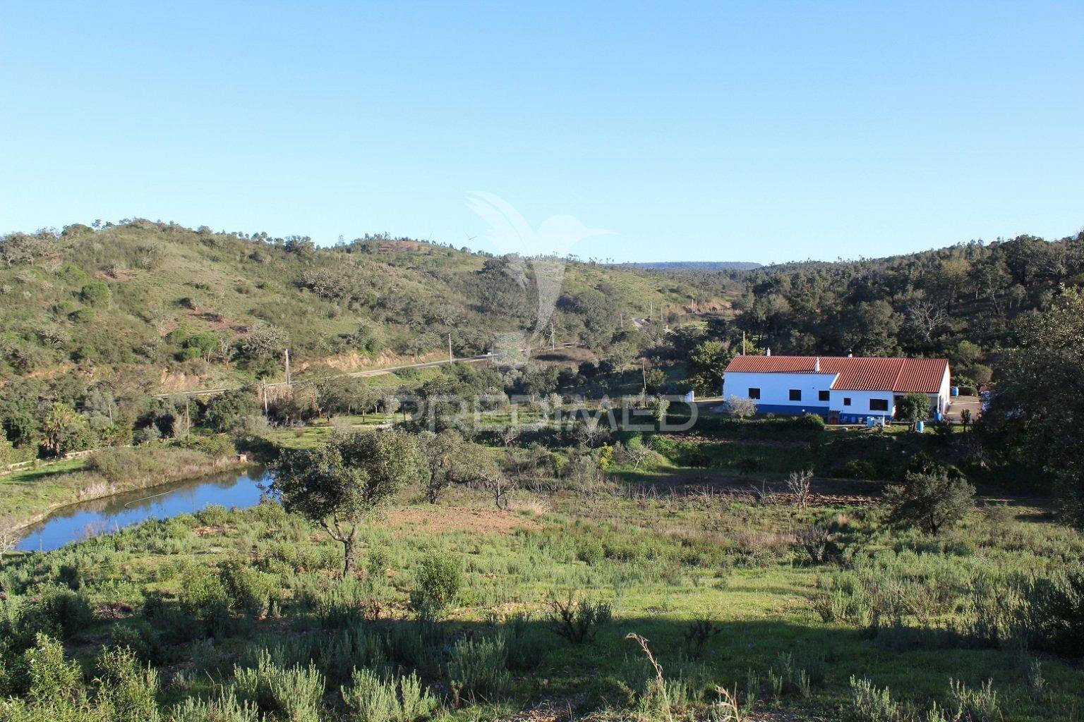 Vende-se terreno rústico em são bartolomeu de messines