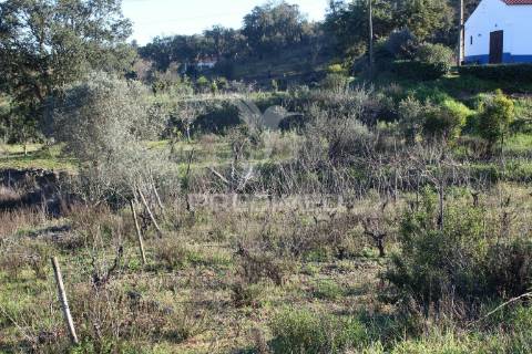 Vende-se terreno rústico em são bartolomeu de messines