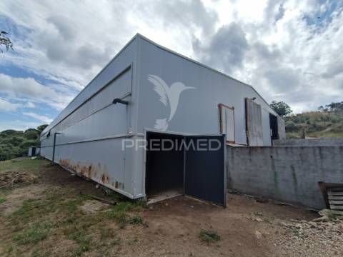 Exploração agropecuaria em trancoso