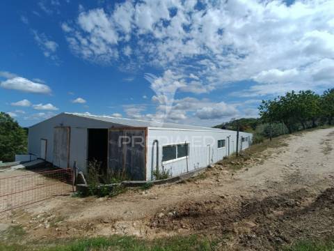Exploração agropecuaria em trancoso