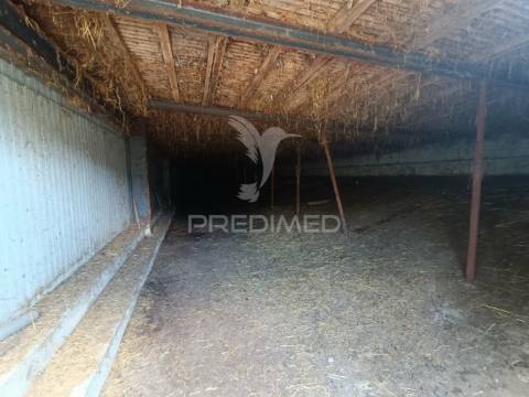 Exploração agropecuaria em trancoso