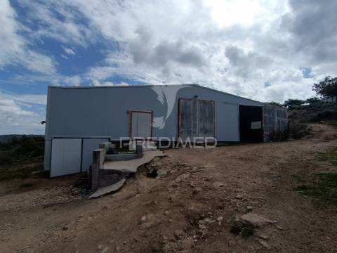 Exploração agropecuaria em trancoso