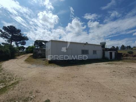 Exploração agropecuaria em trancoso